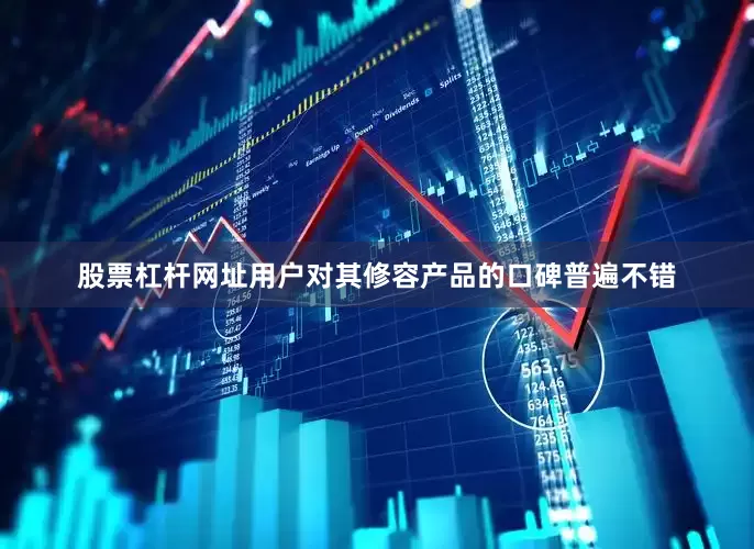 股票杠杆网址用户对其修容产品的口碑普遍不错