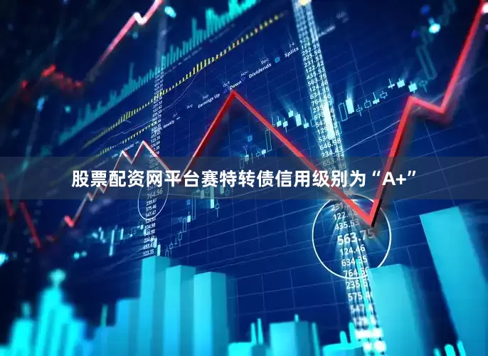 股票配资网平台赛特转债信用级别为“A+”